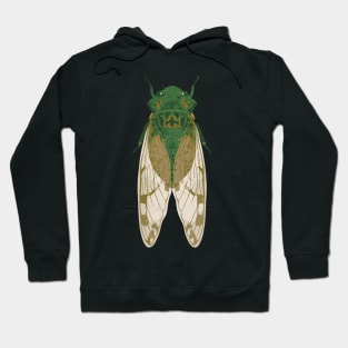 Cicada Insect Great Eastern Brood X USA 2024 Magicicada Hoodie